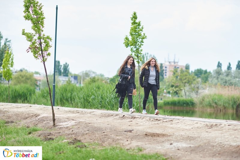 Helyszíni szemle a Bujtoson