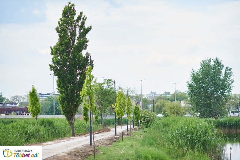 Helyszíni szemle a Bujtoson