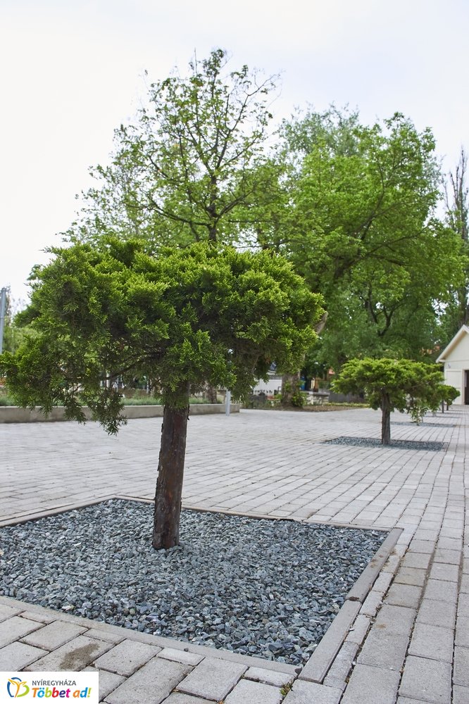 Helyszíni szemle a Tófürdőn