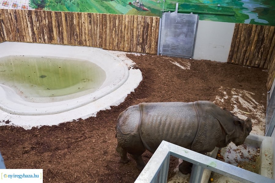 Helyszíni szemle az India-házban