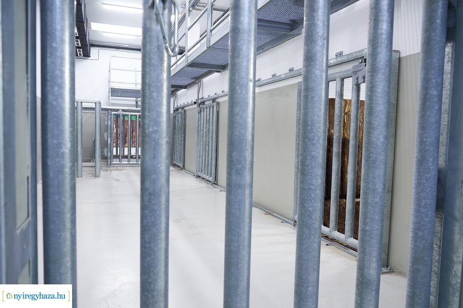 Helyszíni szemle az India-házban