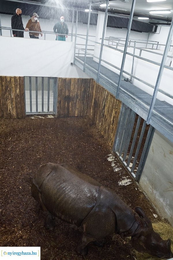 Helyszíni szemle az India-házban