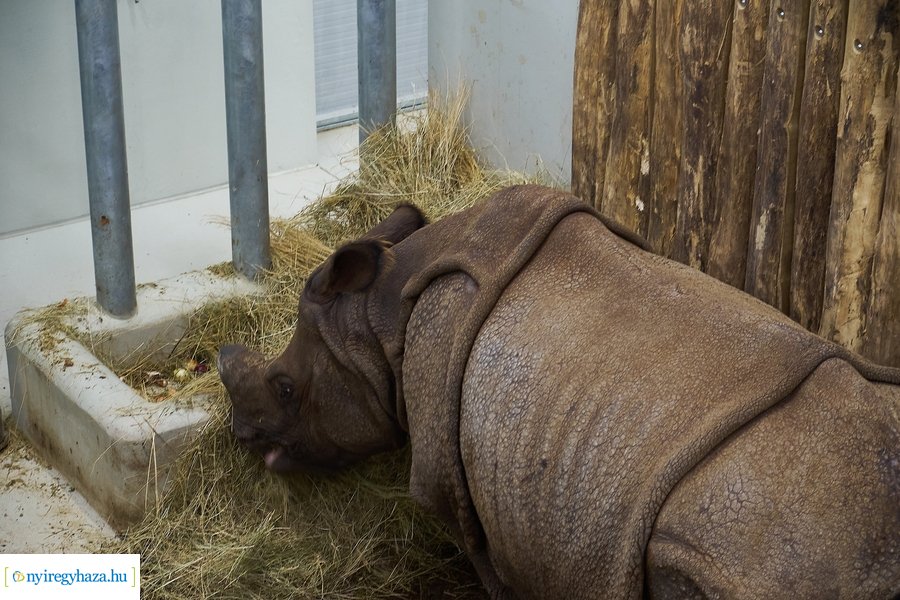 Helyszíni szemle az India-házban