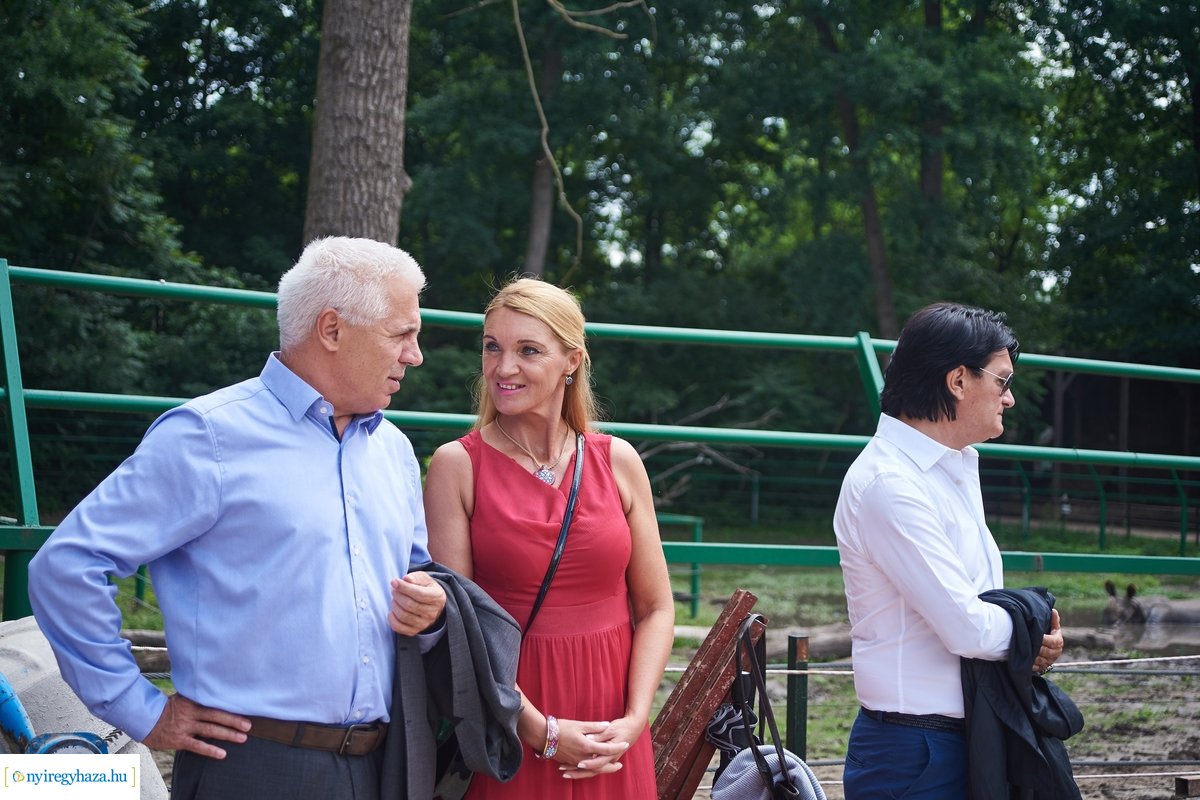 Helyszíni szemle az Indiaház és Madárröpde munkálatainál