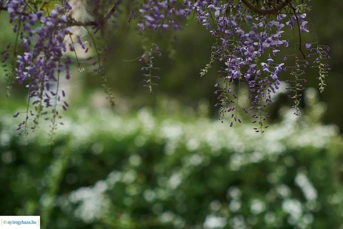 Hétköznap délelőtt Jósavárosban 200430