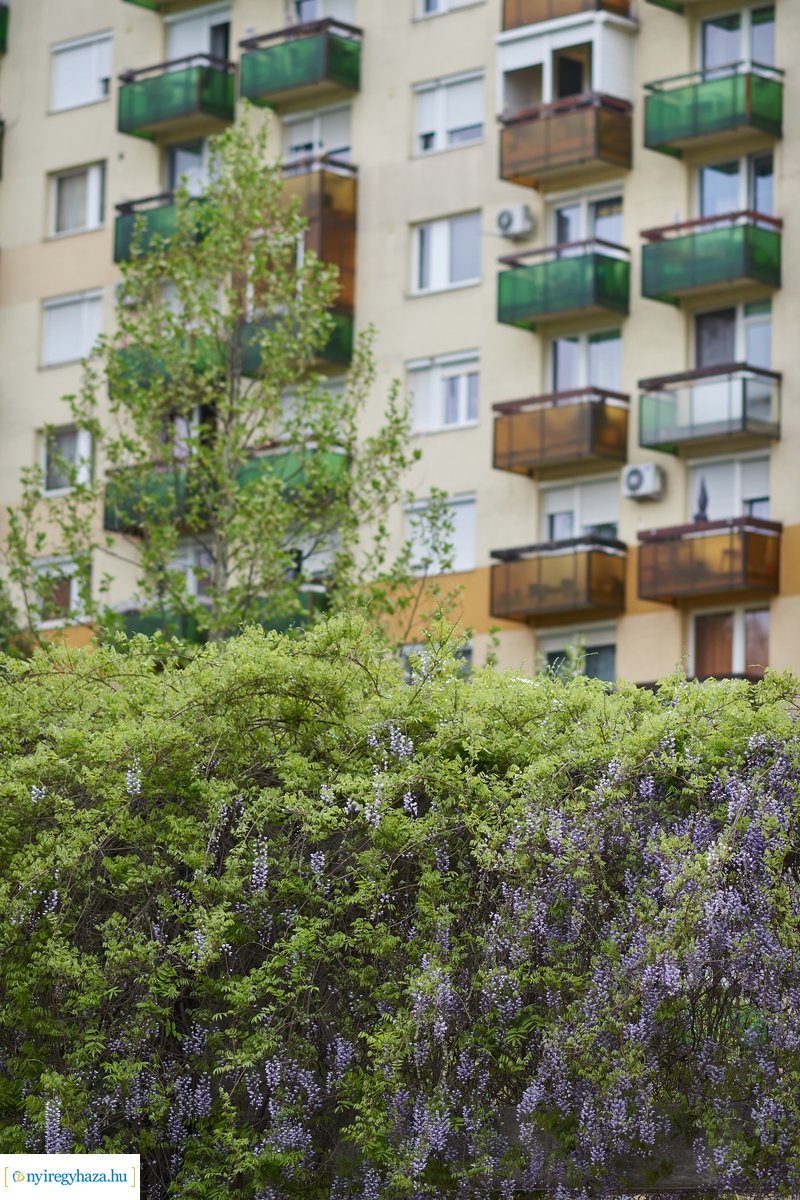 Hétköznap délelőtt Jósavárosban 200430