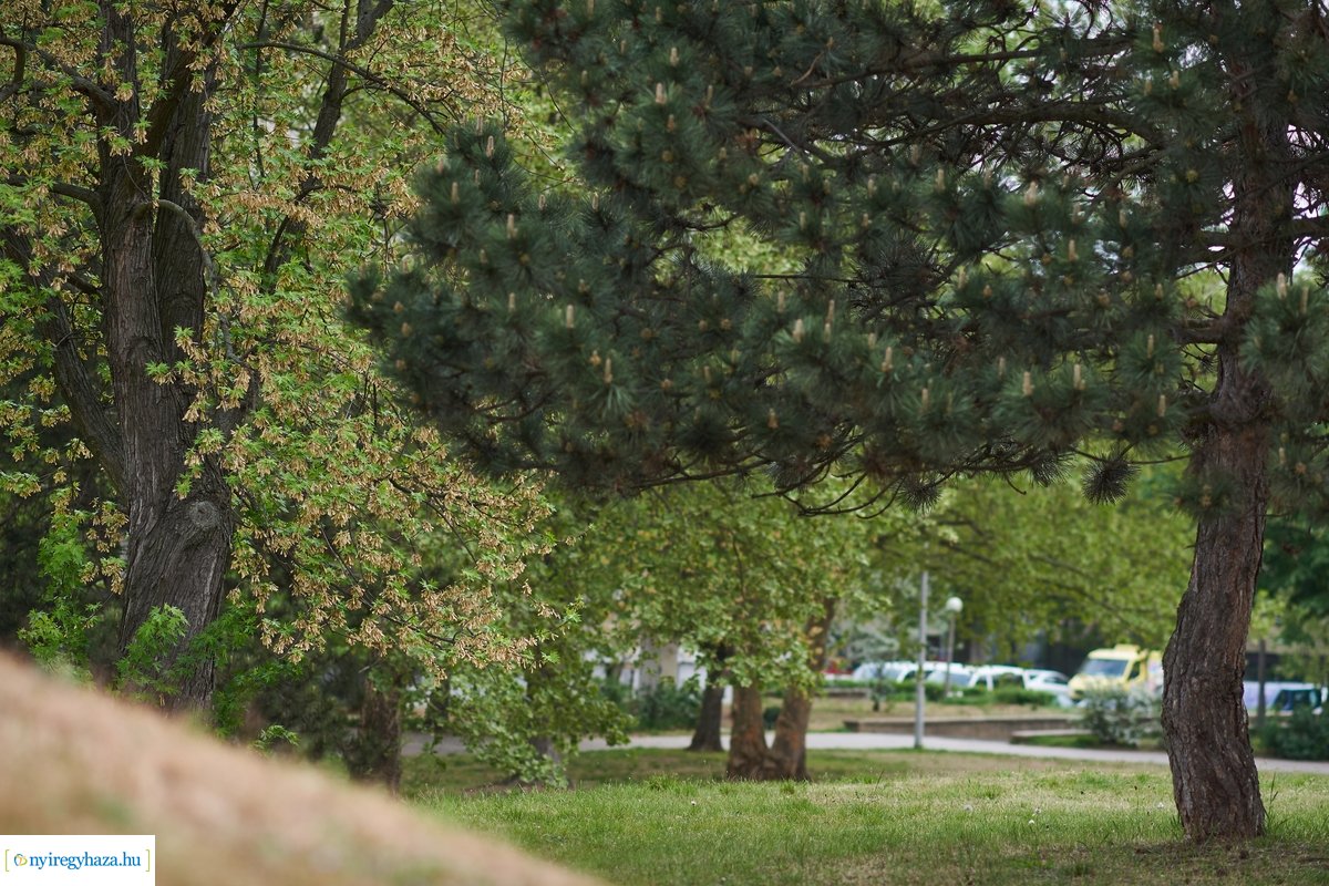 Hétköznap délelőtt Jósavárosban 200430