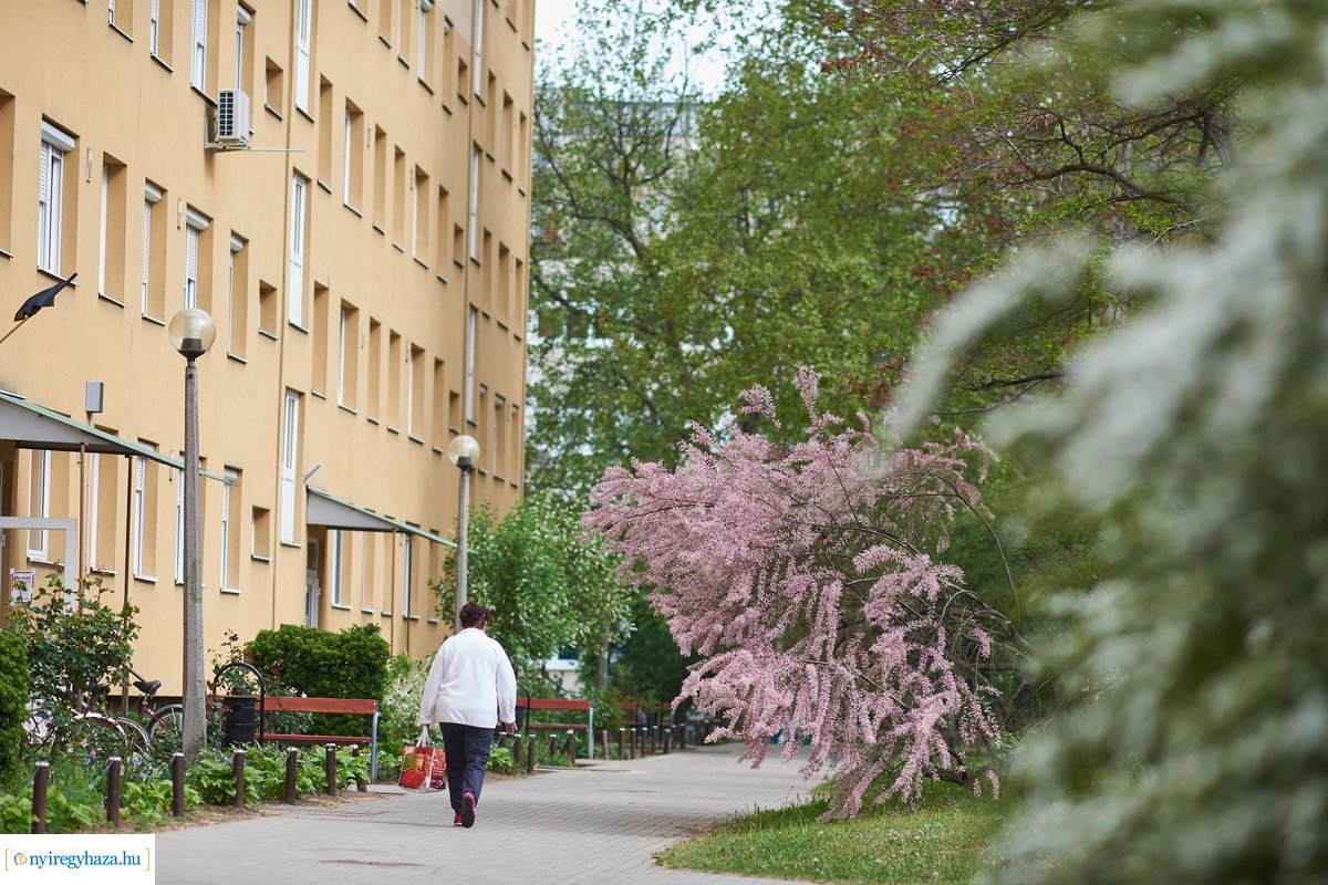 Hétköznap délelőtt Jósavárosban 200430