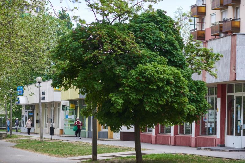 Hétköznap délelőtt Jósavárosban 200430