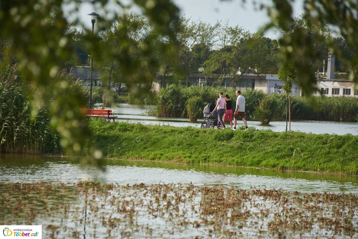 Hétköznapi pillanatok a Bujtosi Városligetben