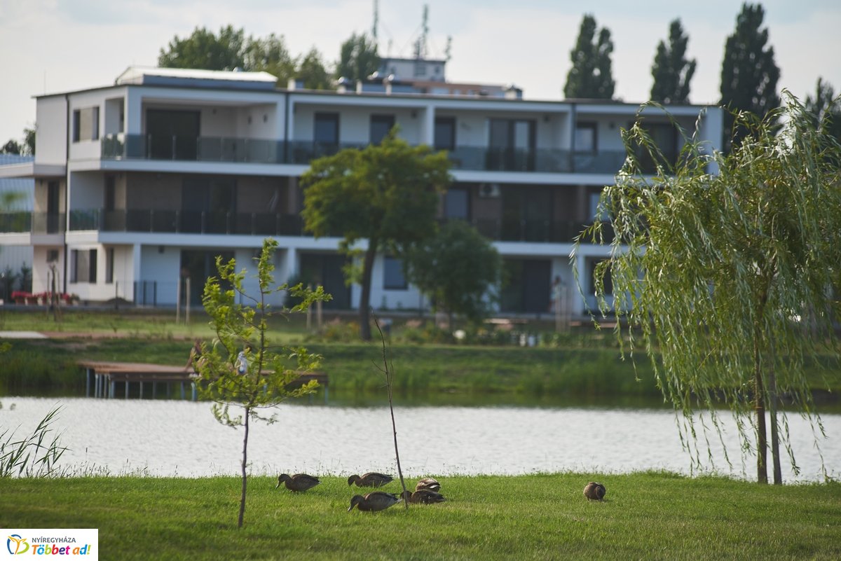 Hétköznapi pillanatok a Bujtosi Városligetben