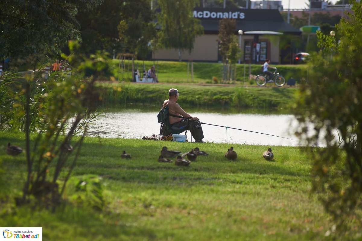 Hétköznapi pillanatok a Bujtosi Városligetben