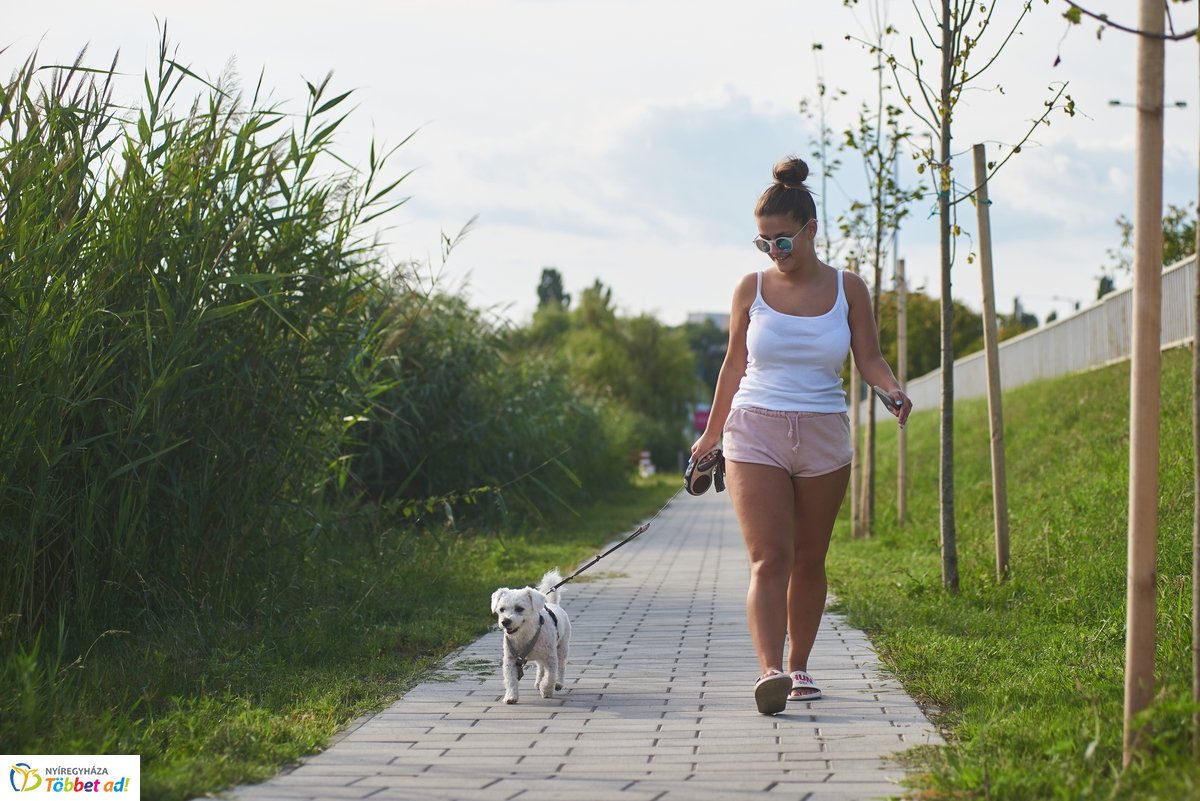 Hétköznapi pillanatok a Bujtosi Városligetben