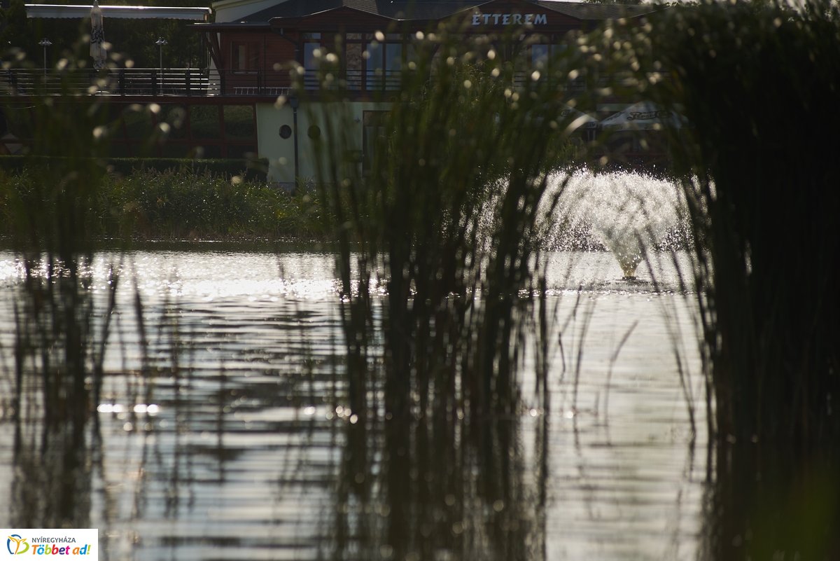Hétköznapi pillanatok a Bujtosi Városligetben