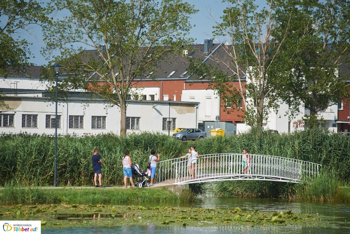 Hétköznapi pillanatok a Bujtosi Városligetben