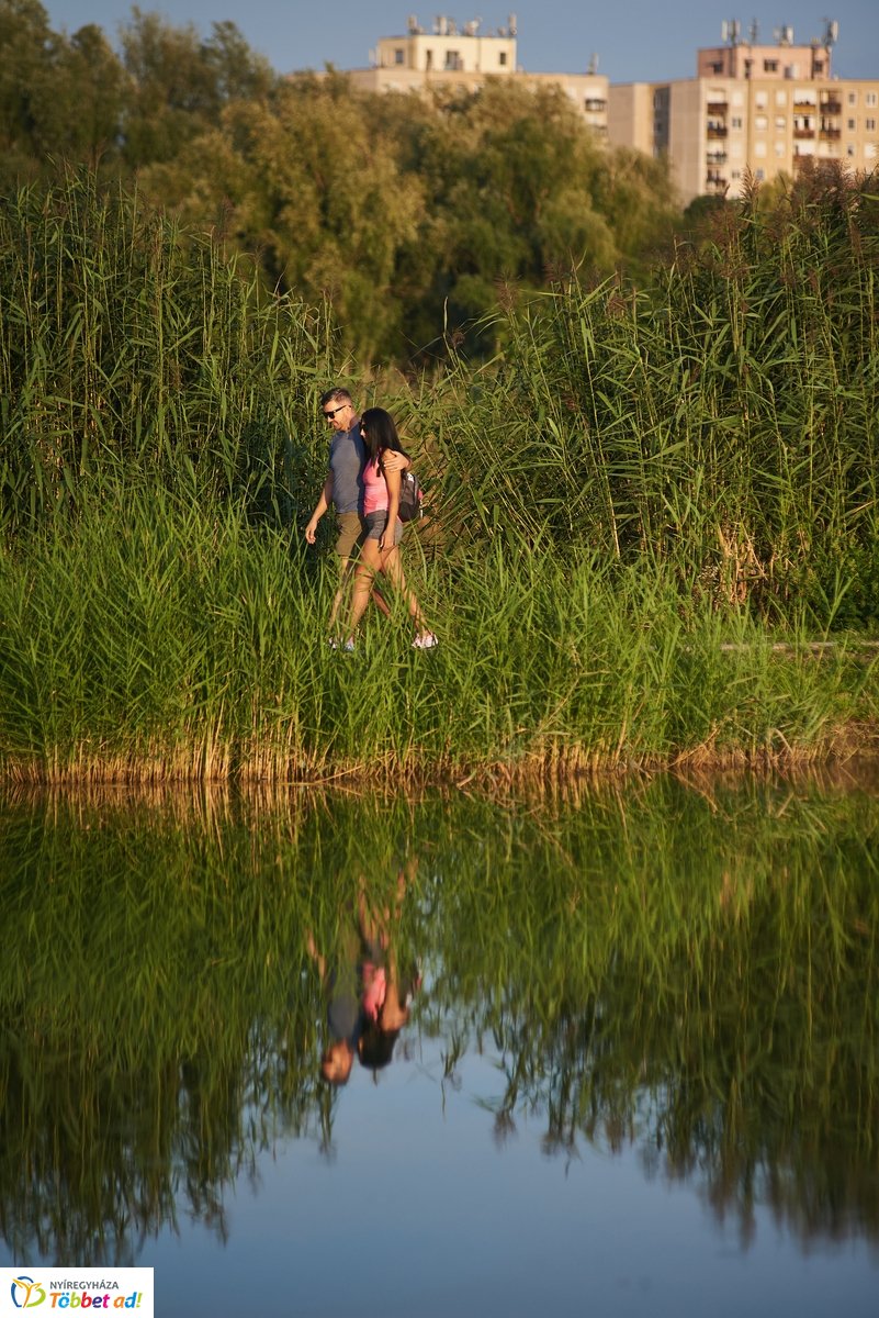 Hétköznapi pillanatok a Bujtosi Városligetben