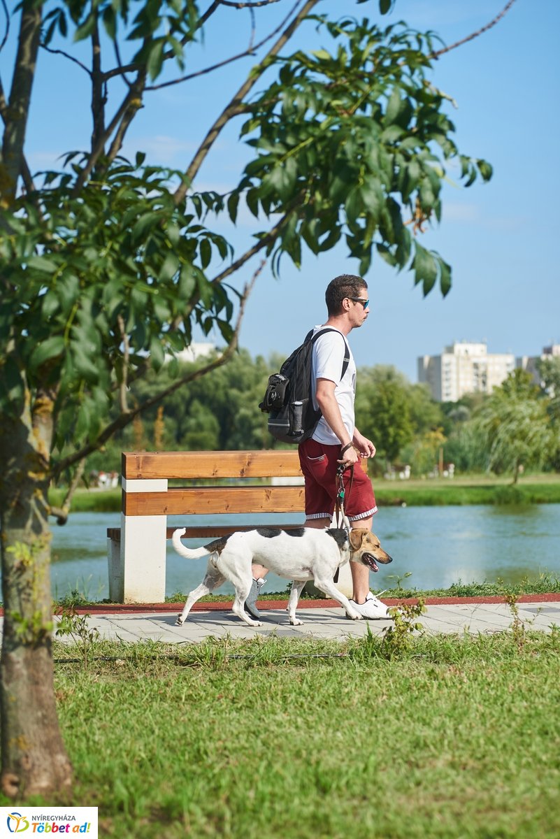 Hétköznapi pillanatok a Bujtosi Városligetben