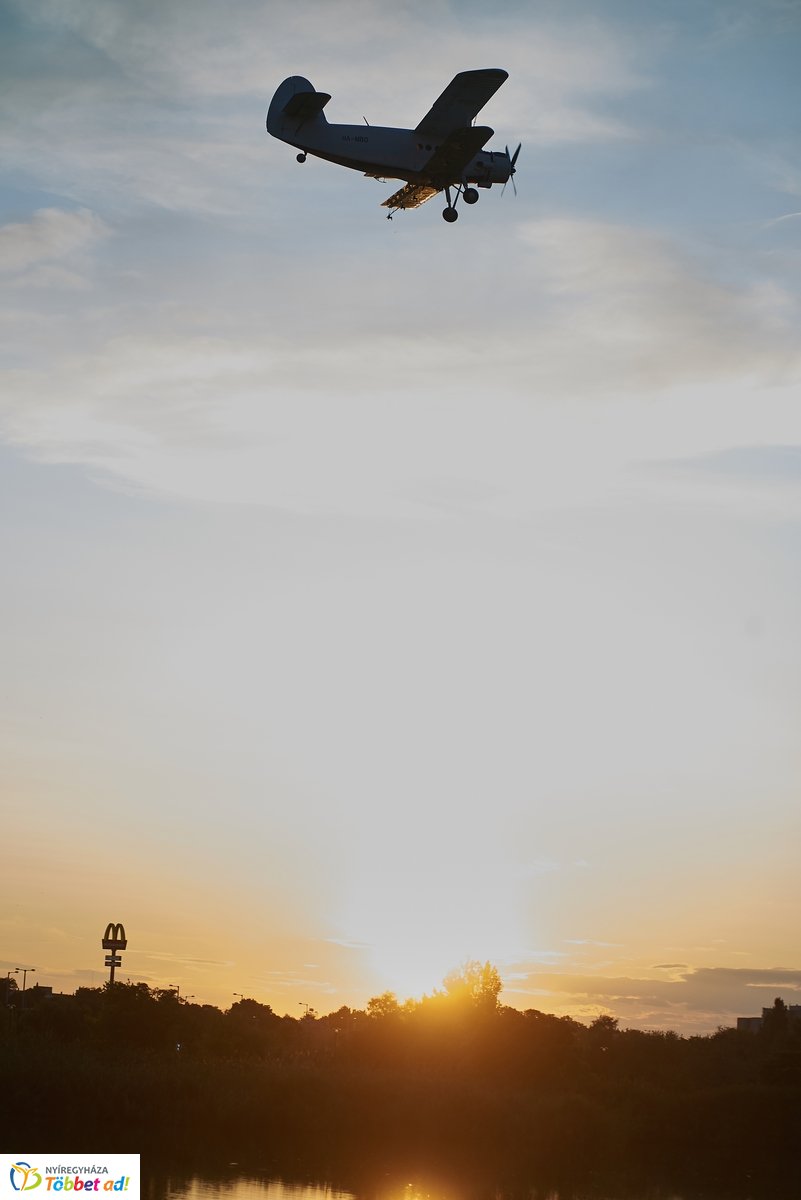 Hétköznapi pillanatok a Bujtosi Városligetben