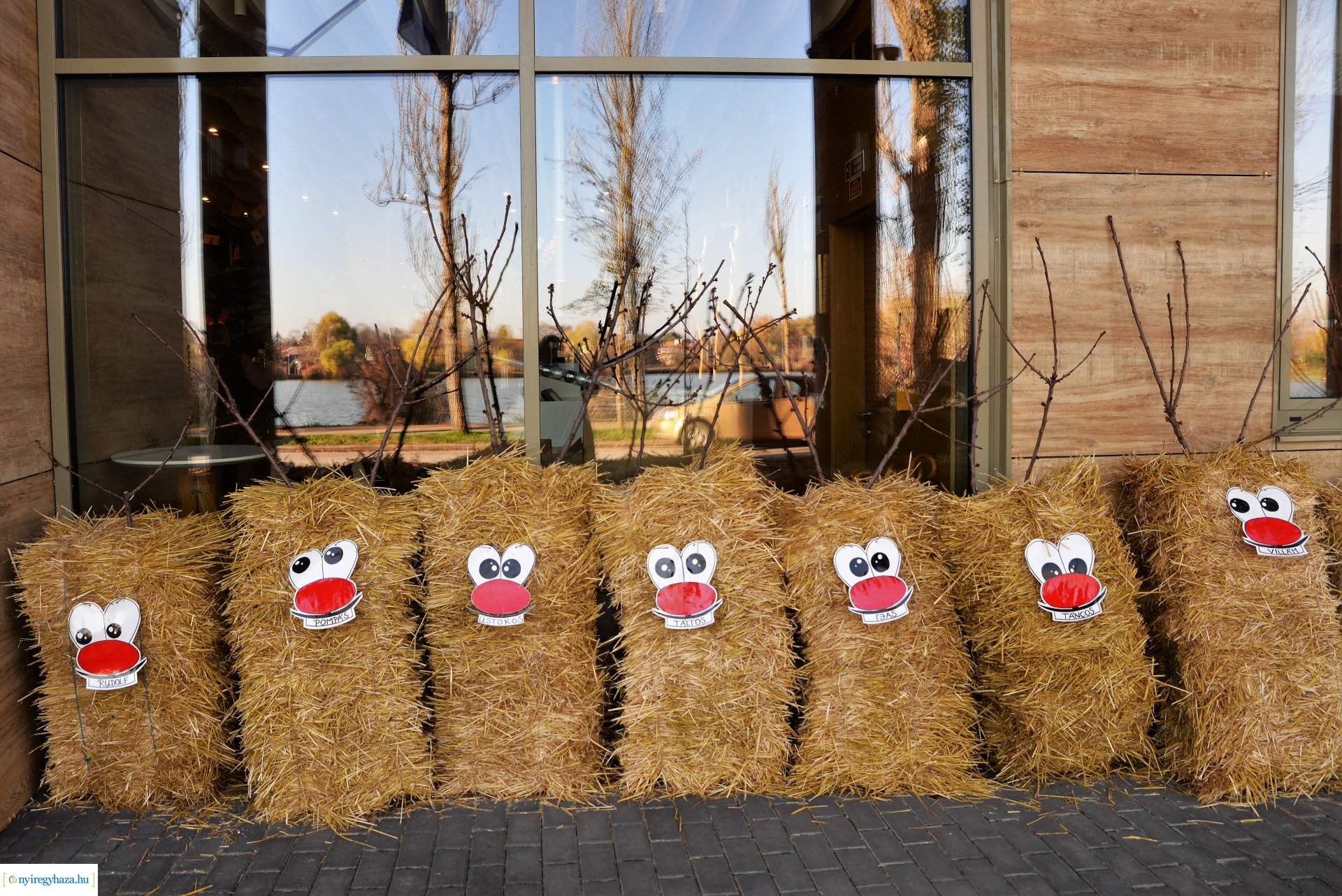 Hétvégén érkezik a " Nagy mikulás kaland" a Nyíregyházi Állatparkba