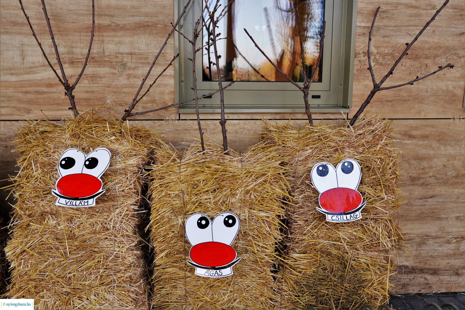 Hétvégén érkezik a " Nagy mikulás kaland" a Nyíregyházi Állatparkba