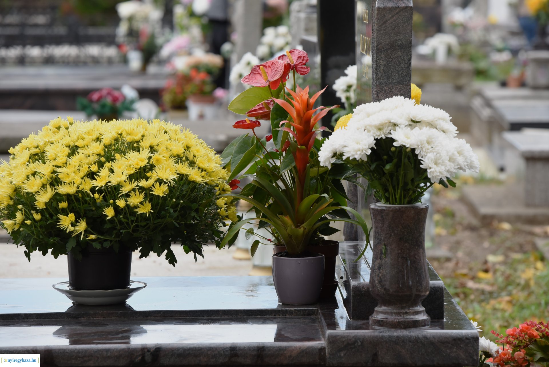 Hétvégén is sokan látogattak ki  az Északi Temtőbe