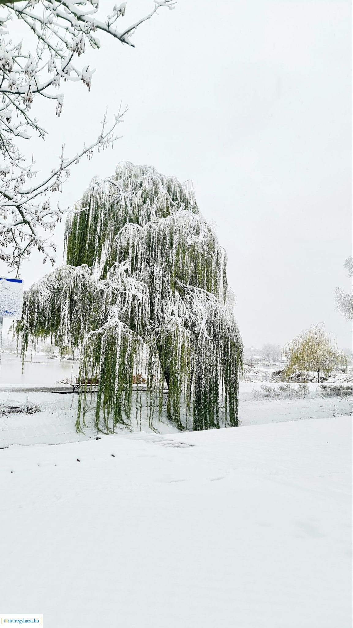 Hófedte Nyíregyháza