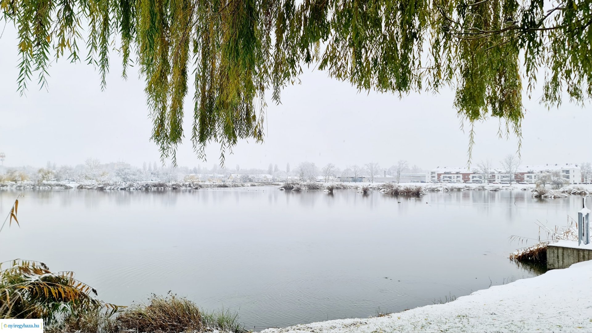 Hófedte Nyíregyháza