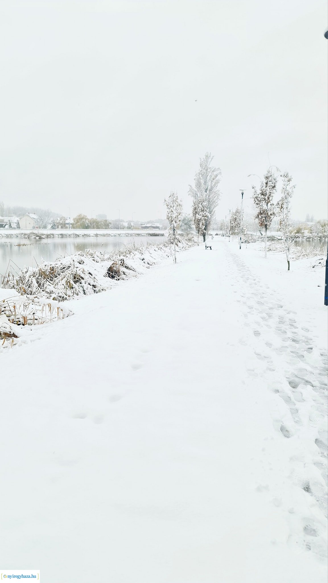 Hófedte Nyíregyháza