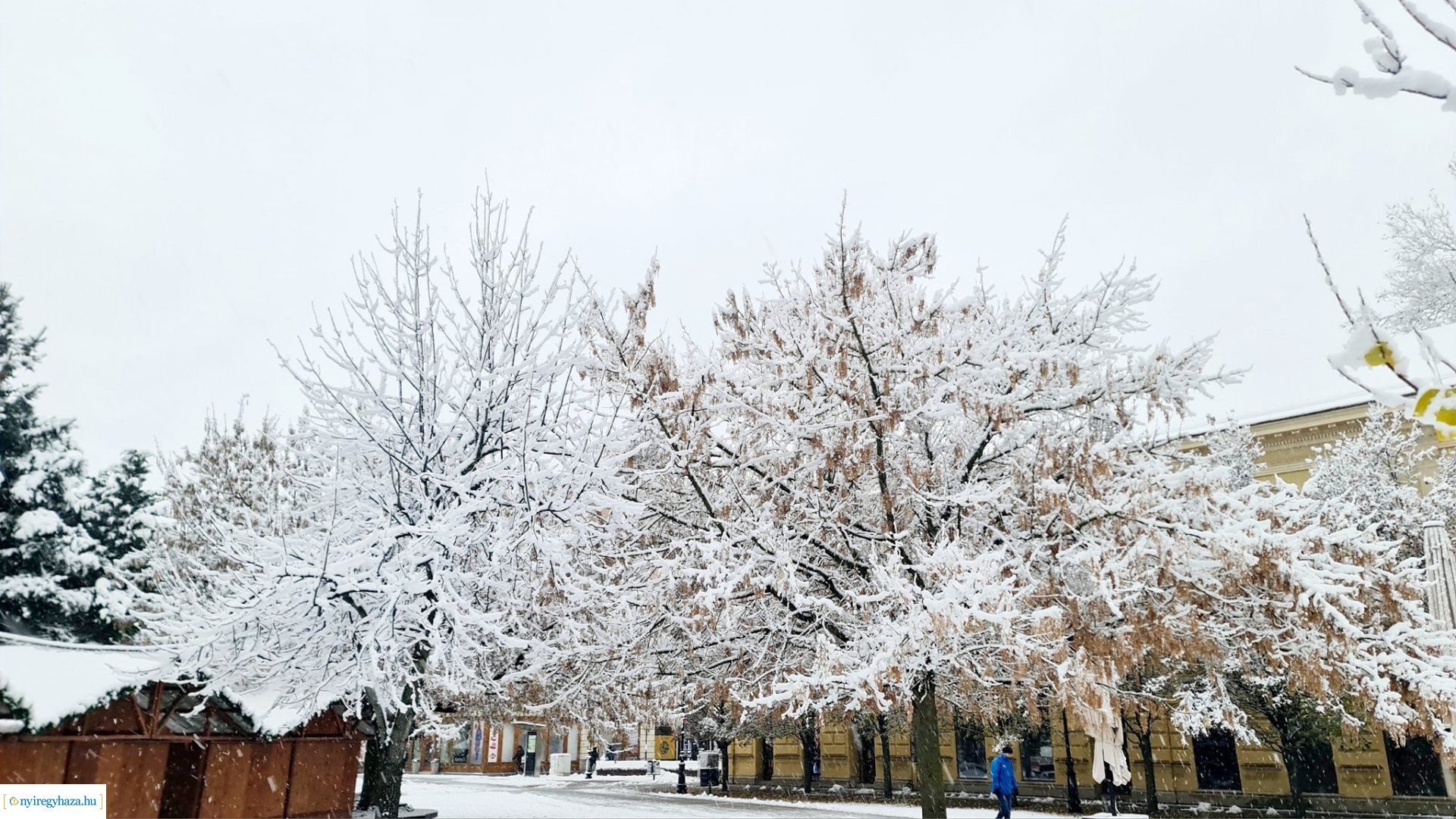 Hófedte Nyíregyháza