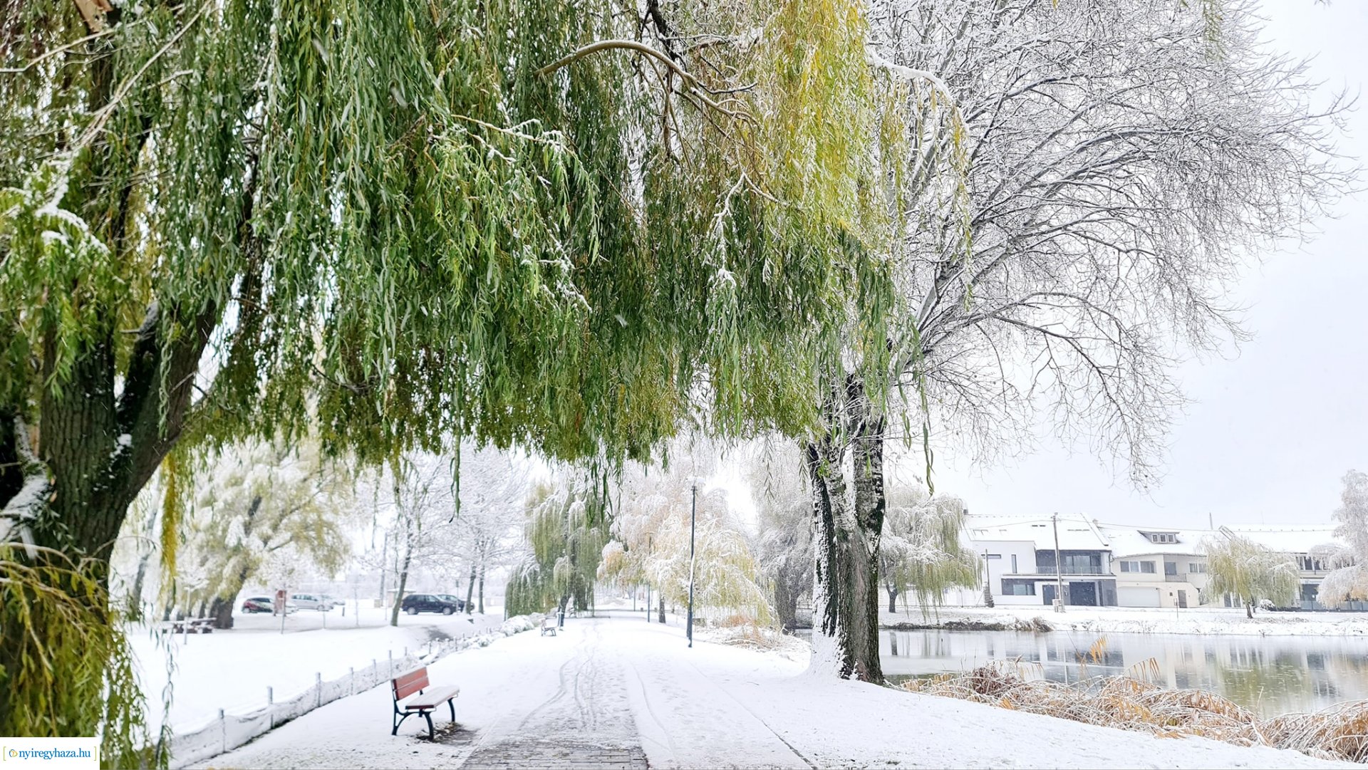 Hófedte Nyíregyháza
