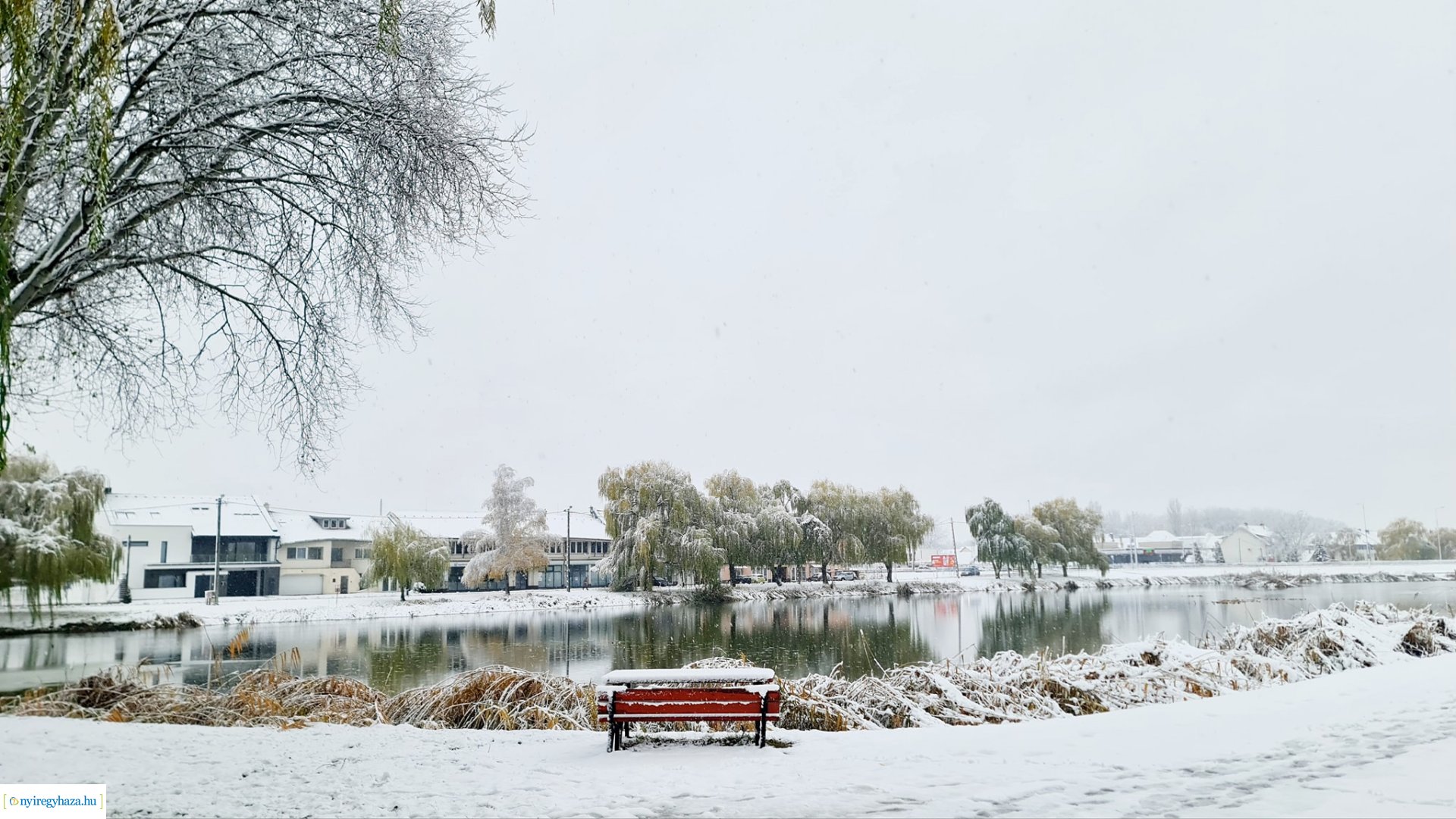 Hófedte Nyíregyháza