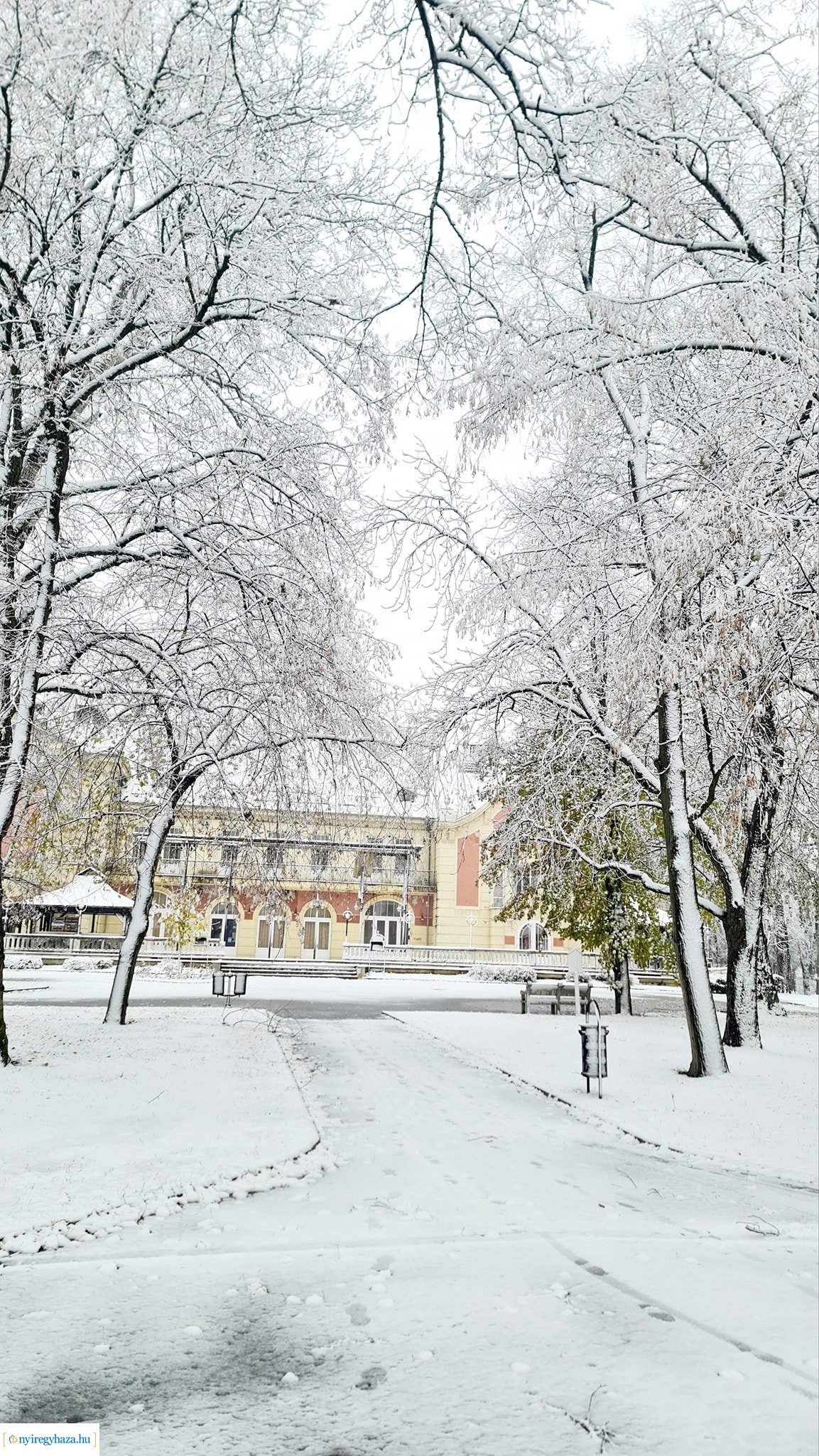 Hófedte Nyíregyháza