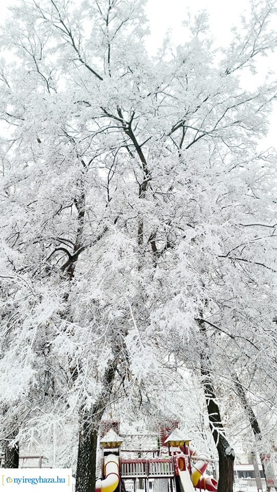 Hófedte Nyíregyháza