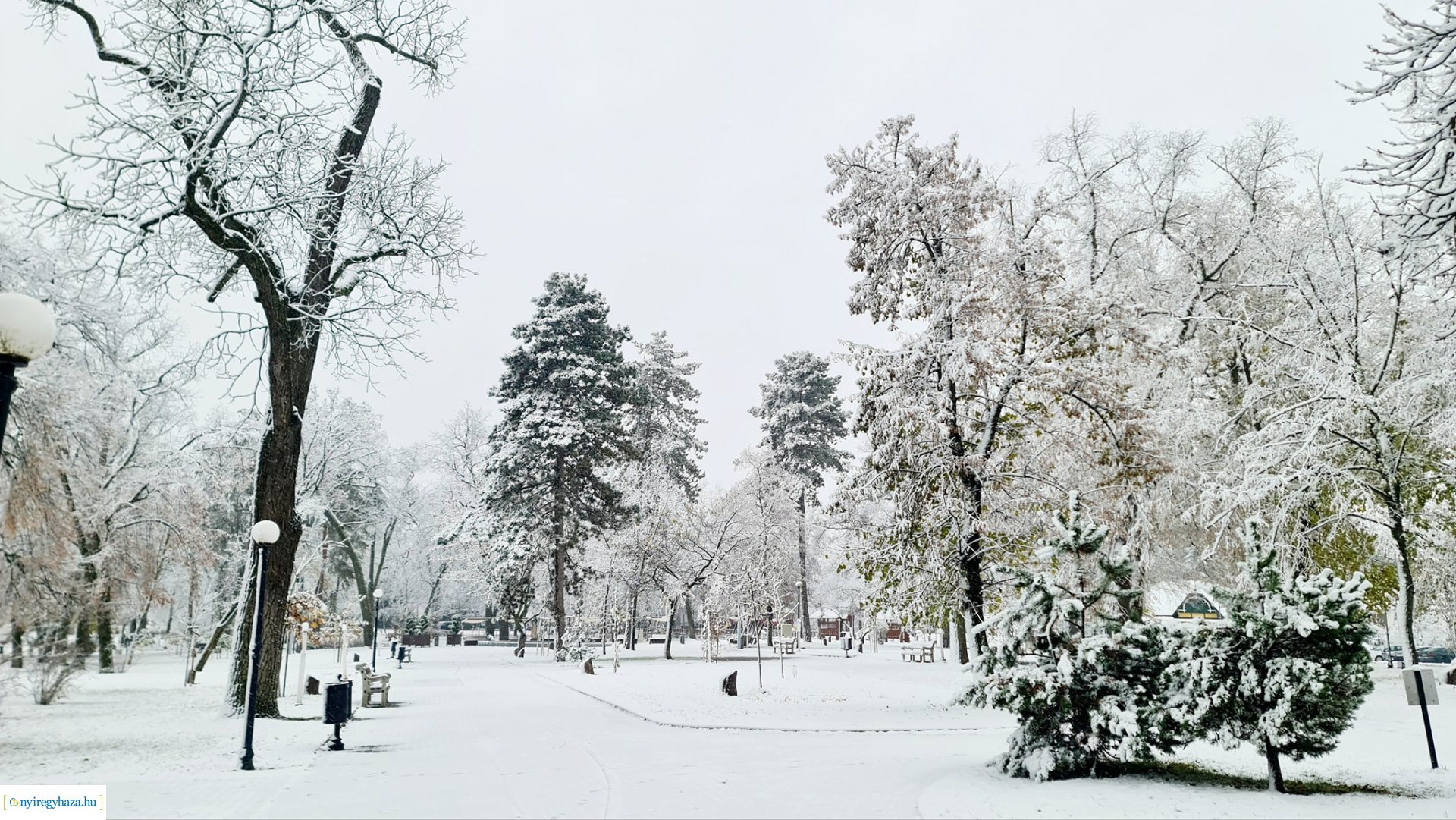 Hófedte Nyíregyháza