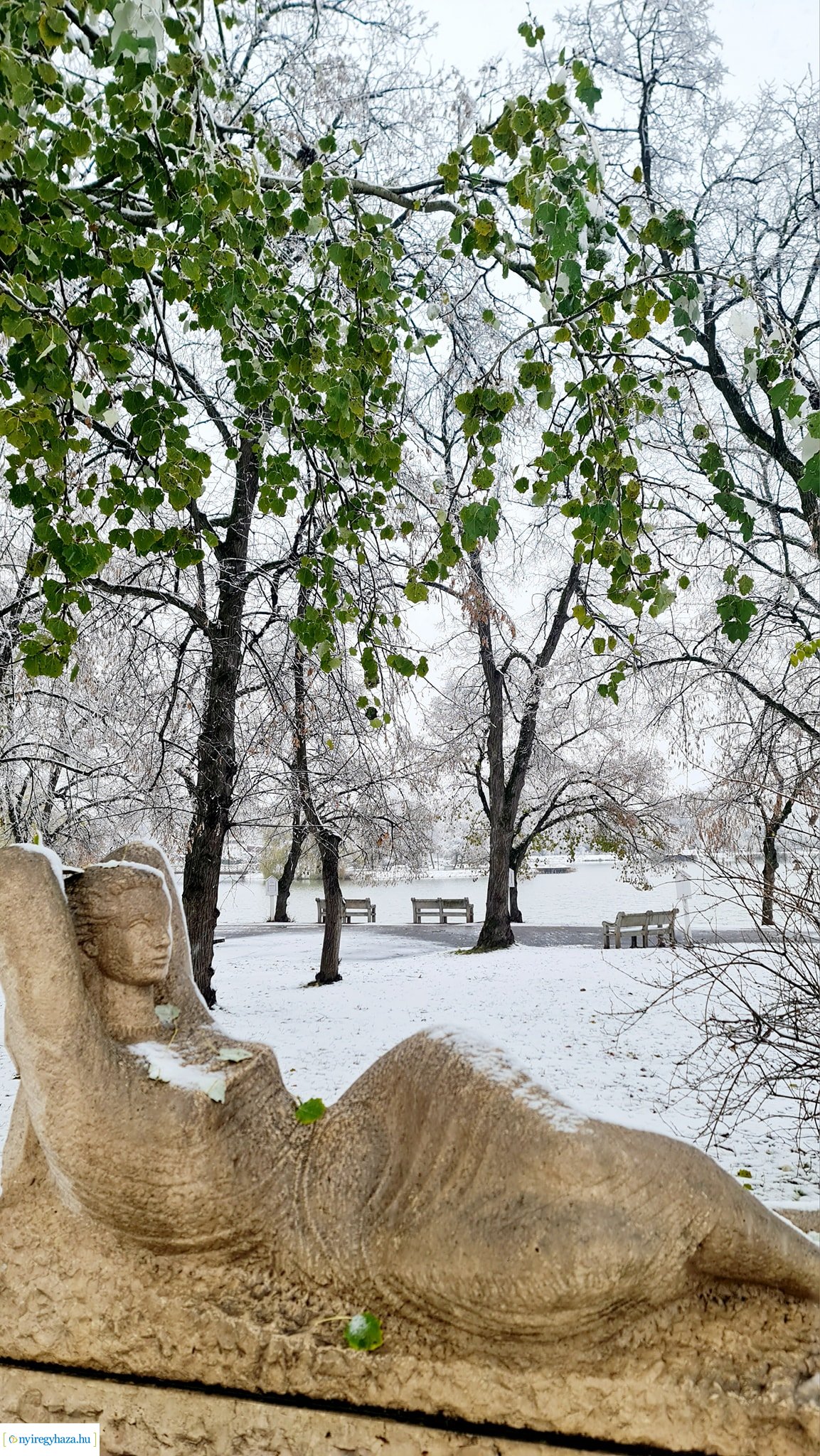 Hófedte Nyíregyháza