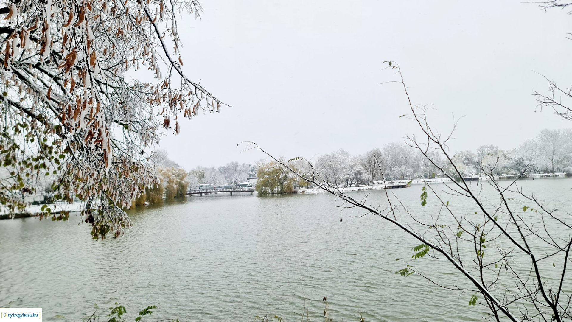 Hófedte Nyíregyháza