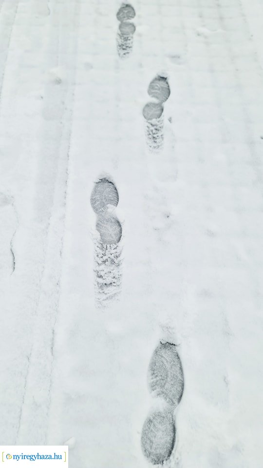 Hófedte Nyíregyháza