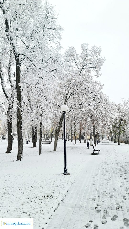 Hófedte Nyíregyháza