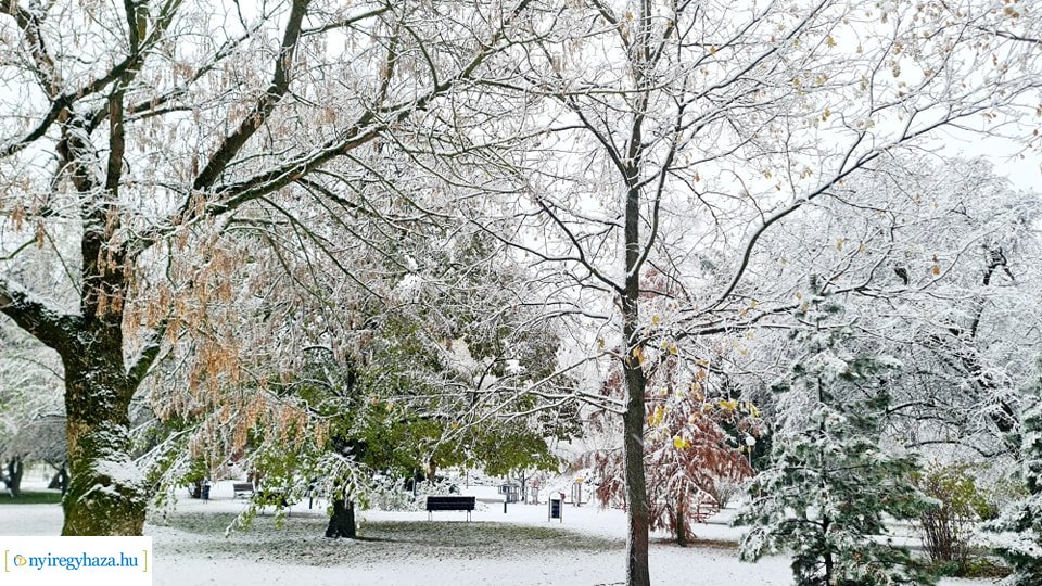 Hófedte Nyíregyháza
