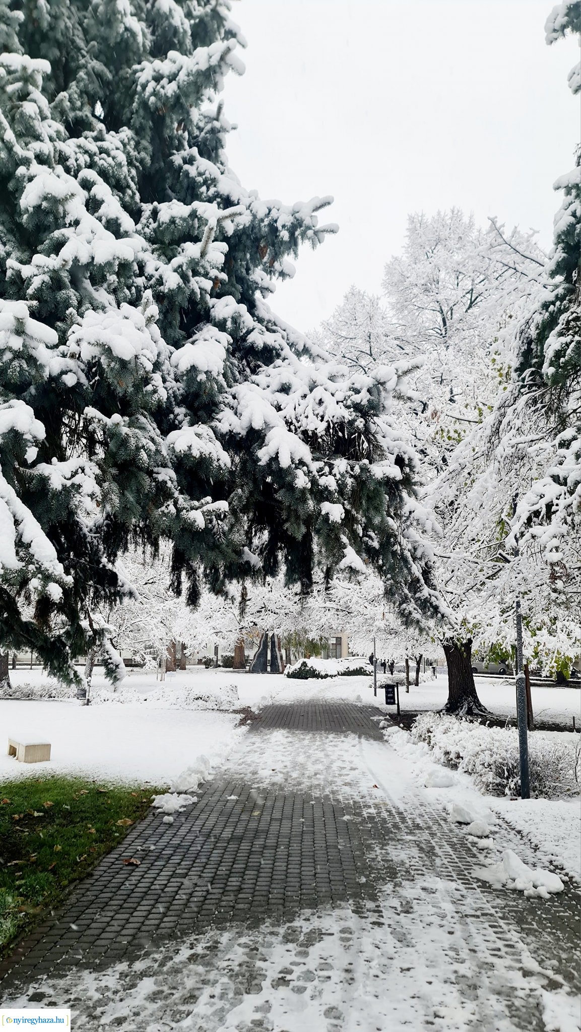 Hófedte Nyíregyháza