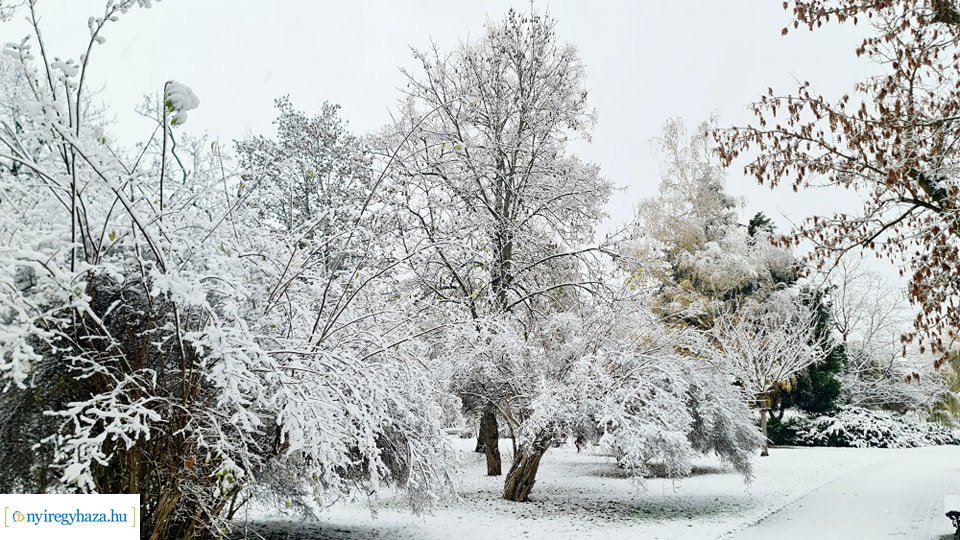 Hófedte Nyíregyháza