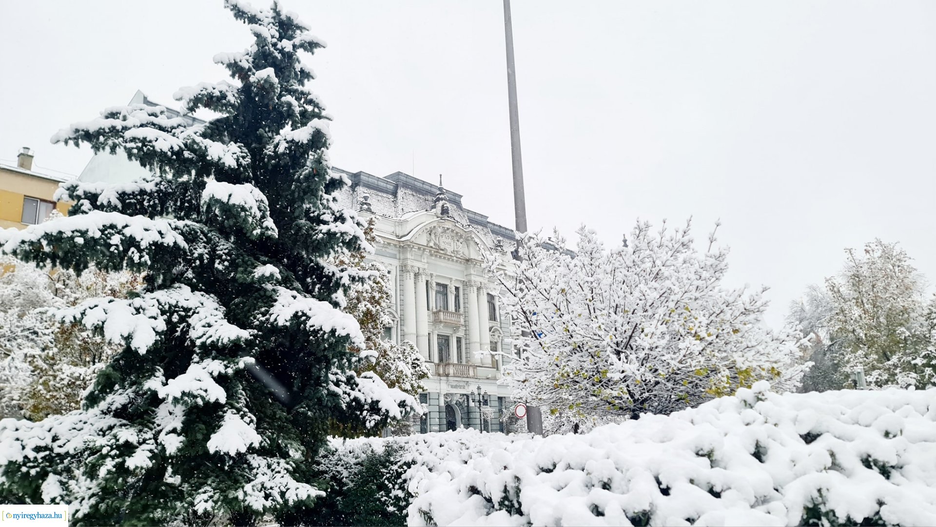 Hófedte Nyíregyháza