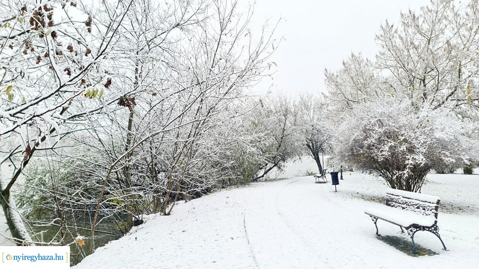 Hófedte Nyíregyháza