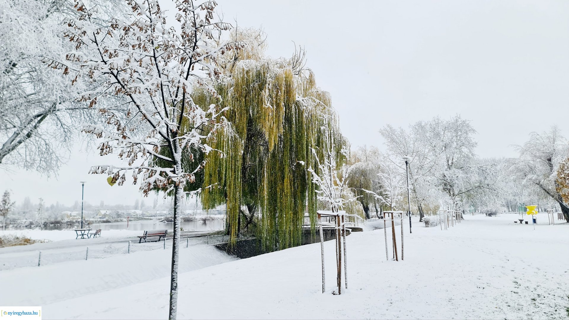 Hófedte Nyíregyháza