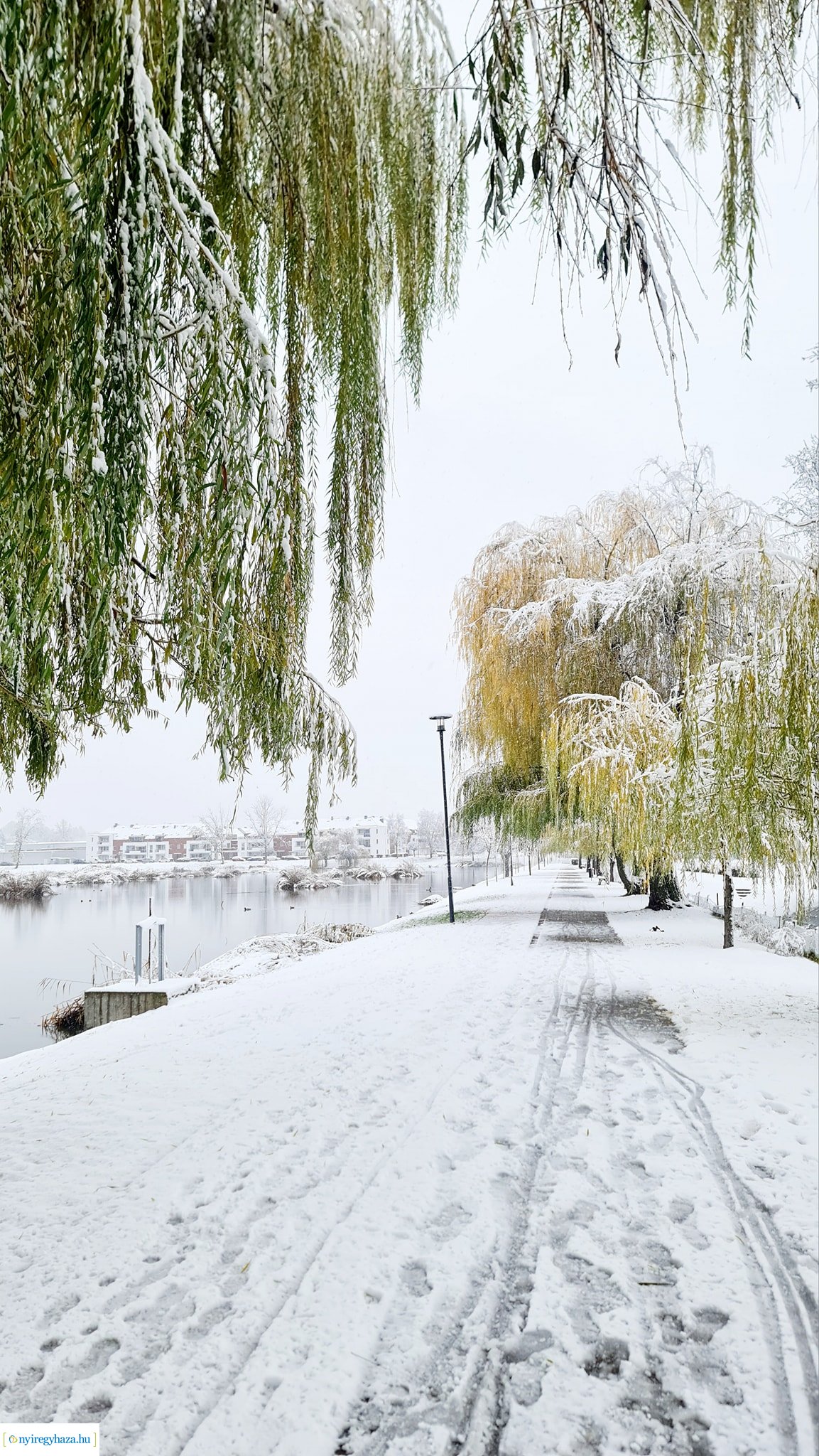 Hófedte Nyíregyháza