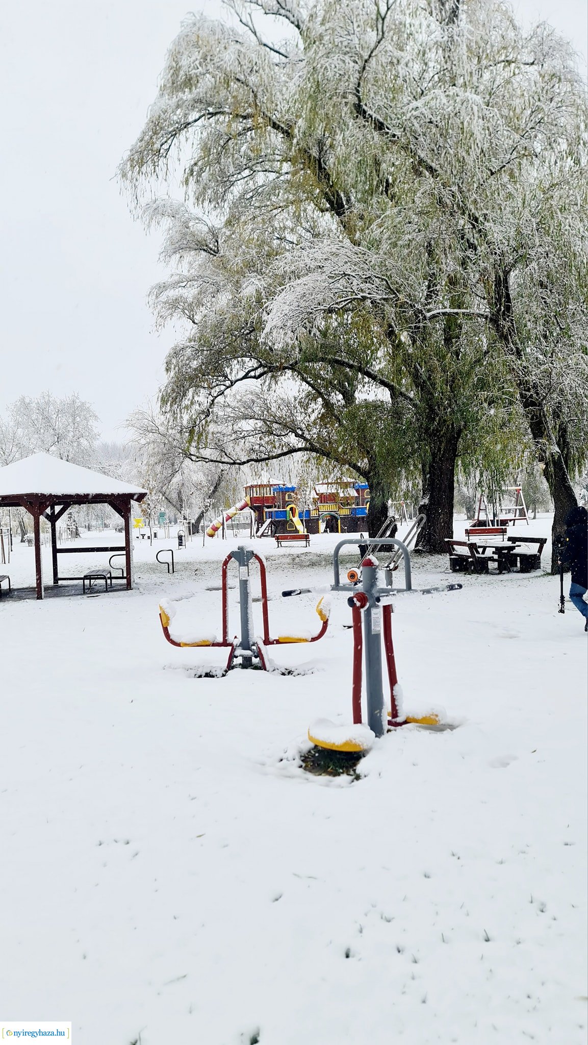 Hófedte Nyíregyháza