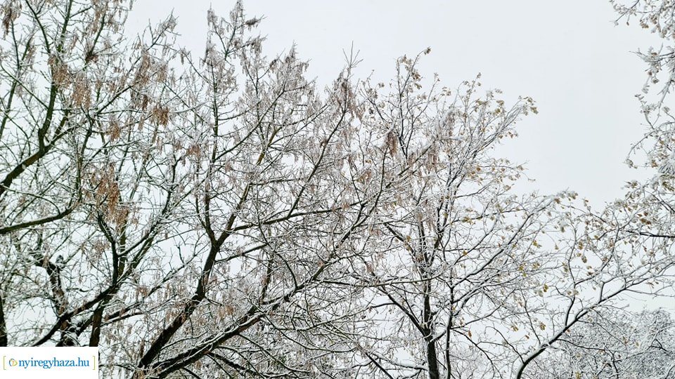 Hófedte Nyíregyháza