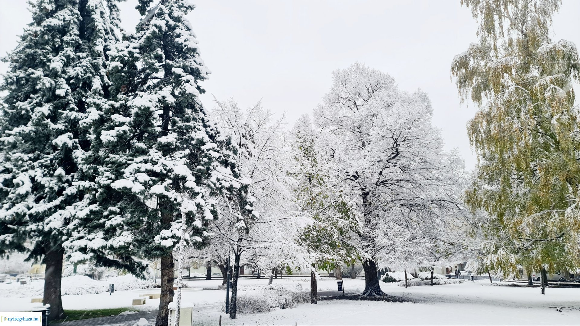 Hófedte Nyíregyháza
