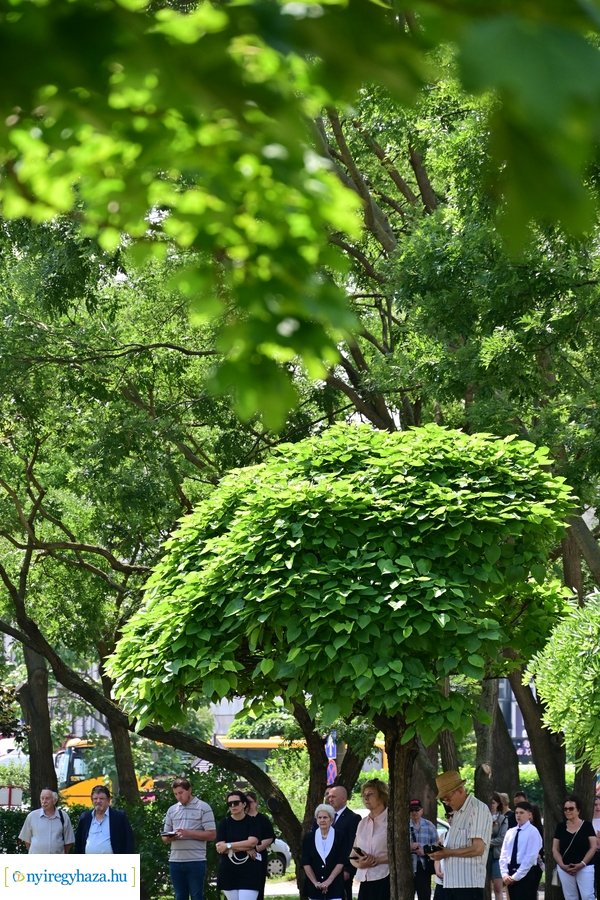 Holokauszt 80 - megemlékezés 2024607