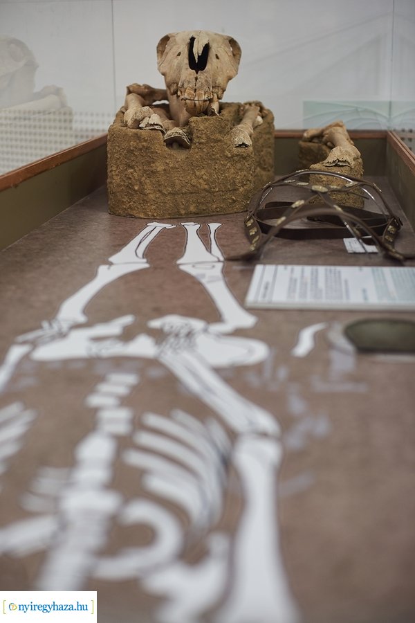 Honfoglalás kori kiállítás a Jósa András Múzeumban